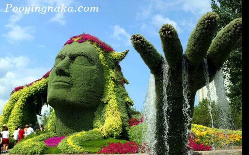 รูปภาพคอมเมนต์