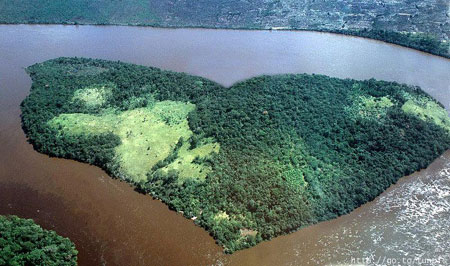 รูปภาพคอมเมนต์