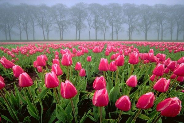 Hi...สมาชิกใหม่ เอารูปมาฝากกันค่ะ