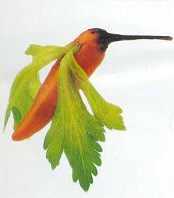 รูปภาพคอมเมนต์