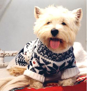 รูปภาพคอมเมนต์