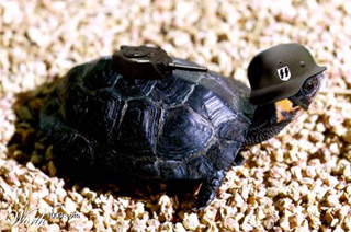 รูปภาพคอมเมนต์