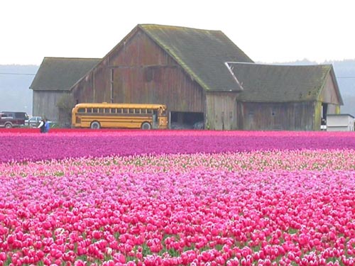 รูปภาพคอมเมนต์