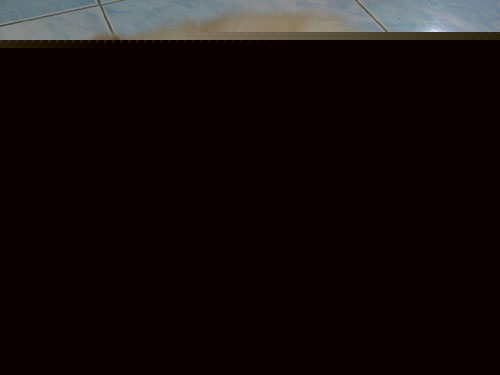 ได้เสียกันตอนเมา