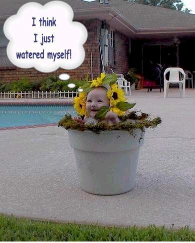 เอาของกินมาฝาก