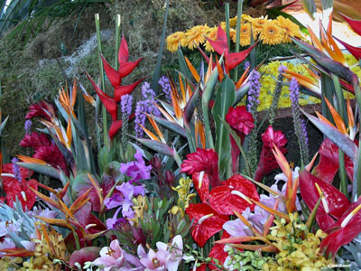 รูปภาพคอมเมนต์