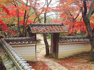 รูปภาพคอมเมนต์