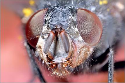 รูปภาพคอมเมนต์