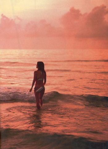 รูปภาพคอมเมนต์