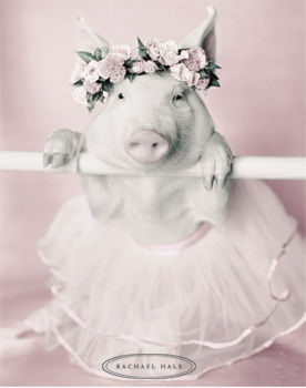 รูปภาพคอมเมนต์