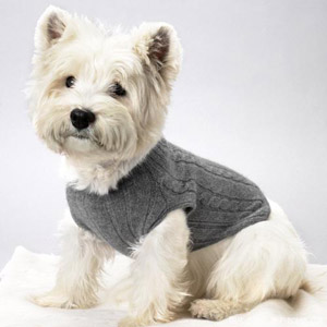 *- หนาวกันมั่งป่าว ???? -*