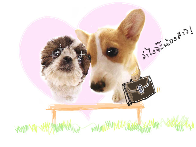 รูปภาพคอมเมนต์