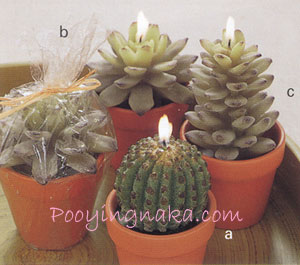 รูปภาพคอมเมนต์