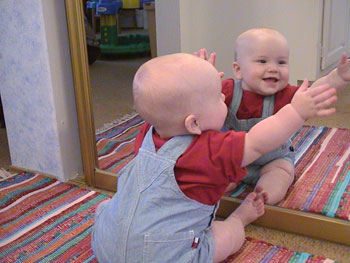 รูปภาพคอมเมนต์