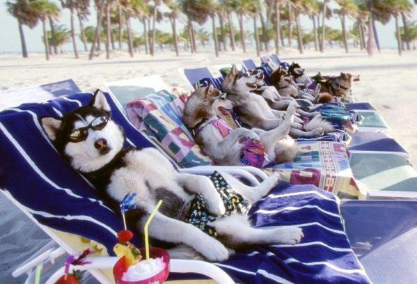 วาเลนไทน์ ปีนี้อยากได้อารายจากคนที่คุณรัก