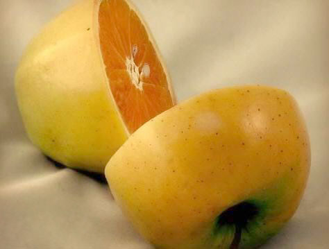 รูปภาพคอมเมนต์