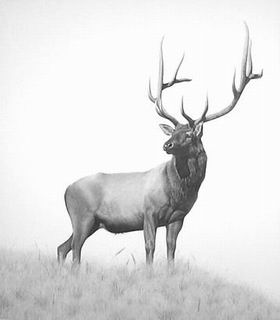 รูปภาพคอมเมนต์