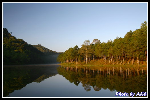 รูปภาพคอมเมนต์