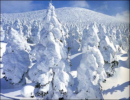 รูปภาพคอมเมนต์