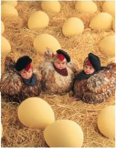 รูปภาพคอมเมนต์