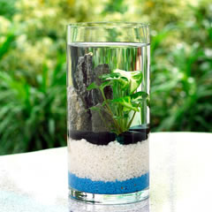 หนัง X ญี่ปุ่นแบบ 3 รุม 1