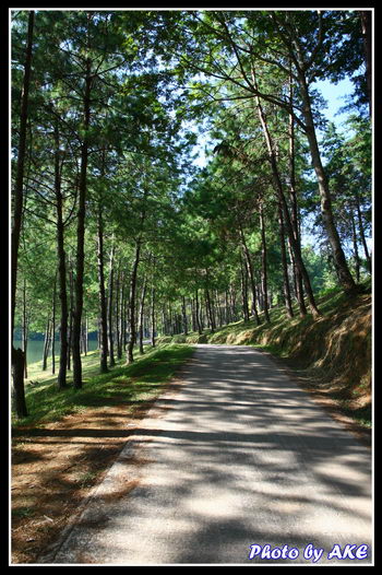 รูปภาพคอมเมนต์