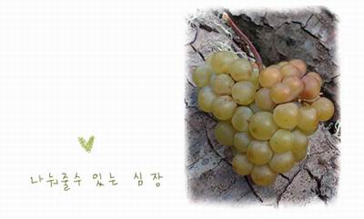 รูปภาพคอมเมนต์