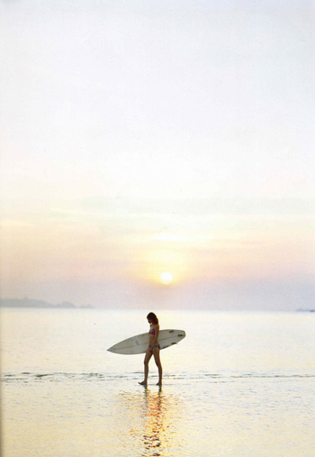 รูปภาพคอมเมนต์