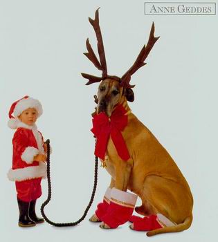 รูปภาพคอมเมนต์