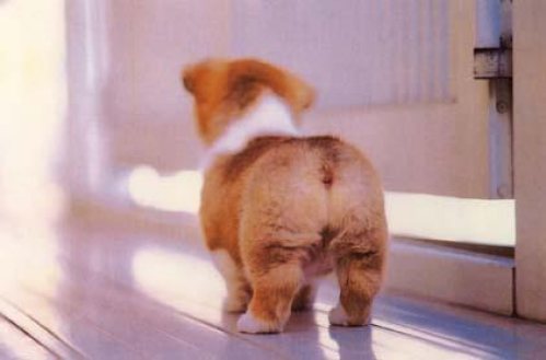 รูปภาพคอมเมนต์