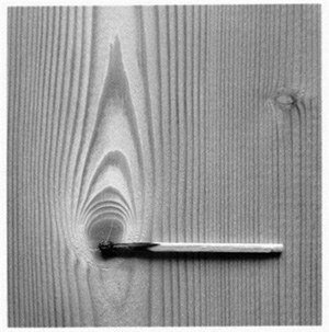 รูปภาพคอมเมนต์