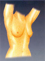 รูปภาพคอมเมนต์