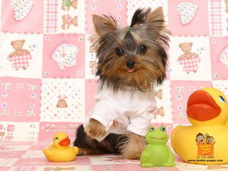 ว้าย!! น่ารักจังเลย