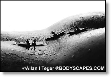 รูปภาพคอมเมนต์