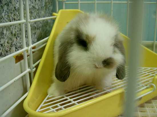 รูปภาพคอมเมนต์