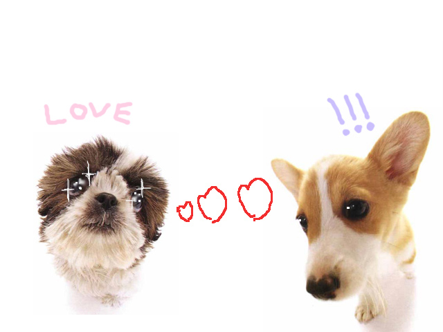 รูปภาพคอมเมนต์