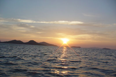 รูปภาพคอมเมนต์