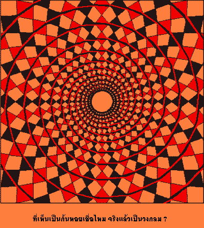 รูปภาพคอมเมนต์