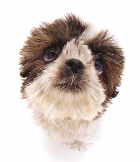 รูปภาพคอมเมนต์