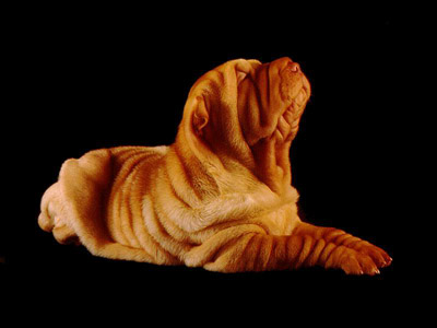 รูปภาพคอมเมนต์