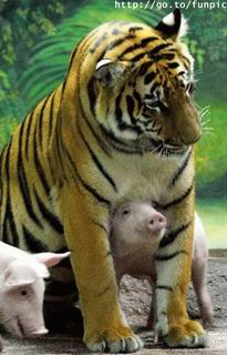 รูปภาพคอมเมนต์