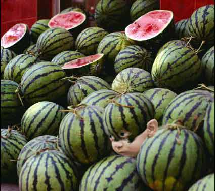 ภาพแตงโมสุดๆเห็นหัวเลย