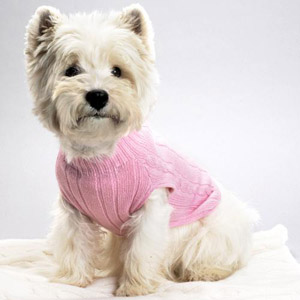 รูปภาพคอมเมนต์