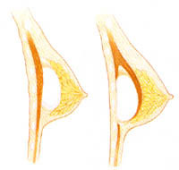 รูปภาพคอมเมนต์