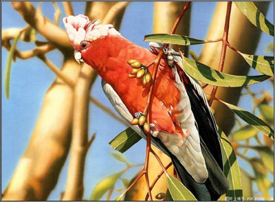 *-มาดูกันชัดๆเลย-*