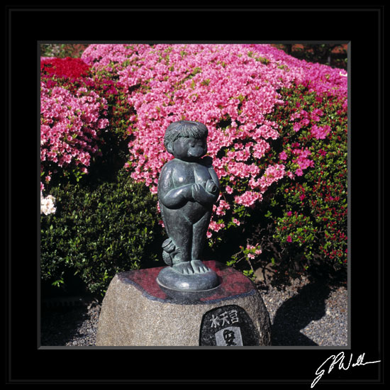 รูปภาพคอมเมนต์