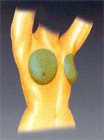 รูปภาพคอมเมนต์