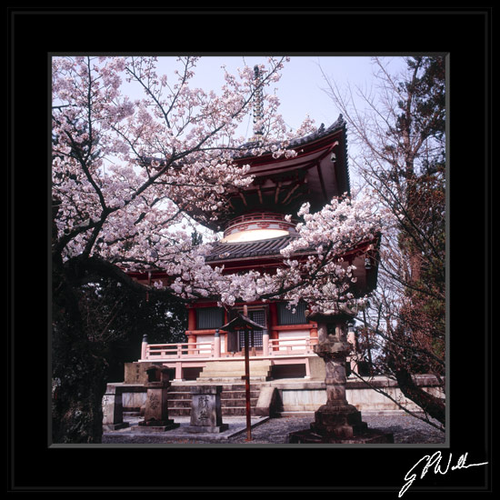 รูปภาพคอมเมนต์