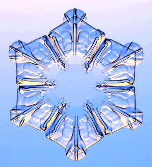 รูปภาพคอมเมนต์