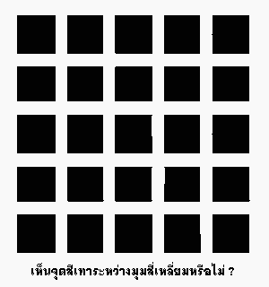 รูปภาพคอมเมนต์
